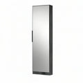 Wall-Mounted Mirrored Shoe Storage, 14.6 in W x 7.1 in D x 47.2 in H, Black/Silver