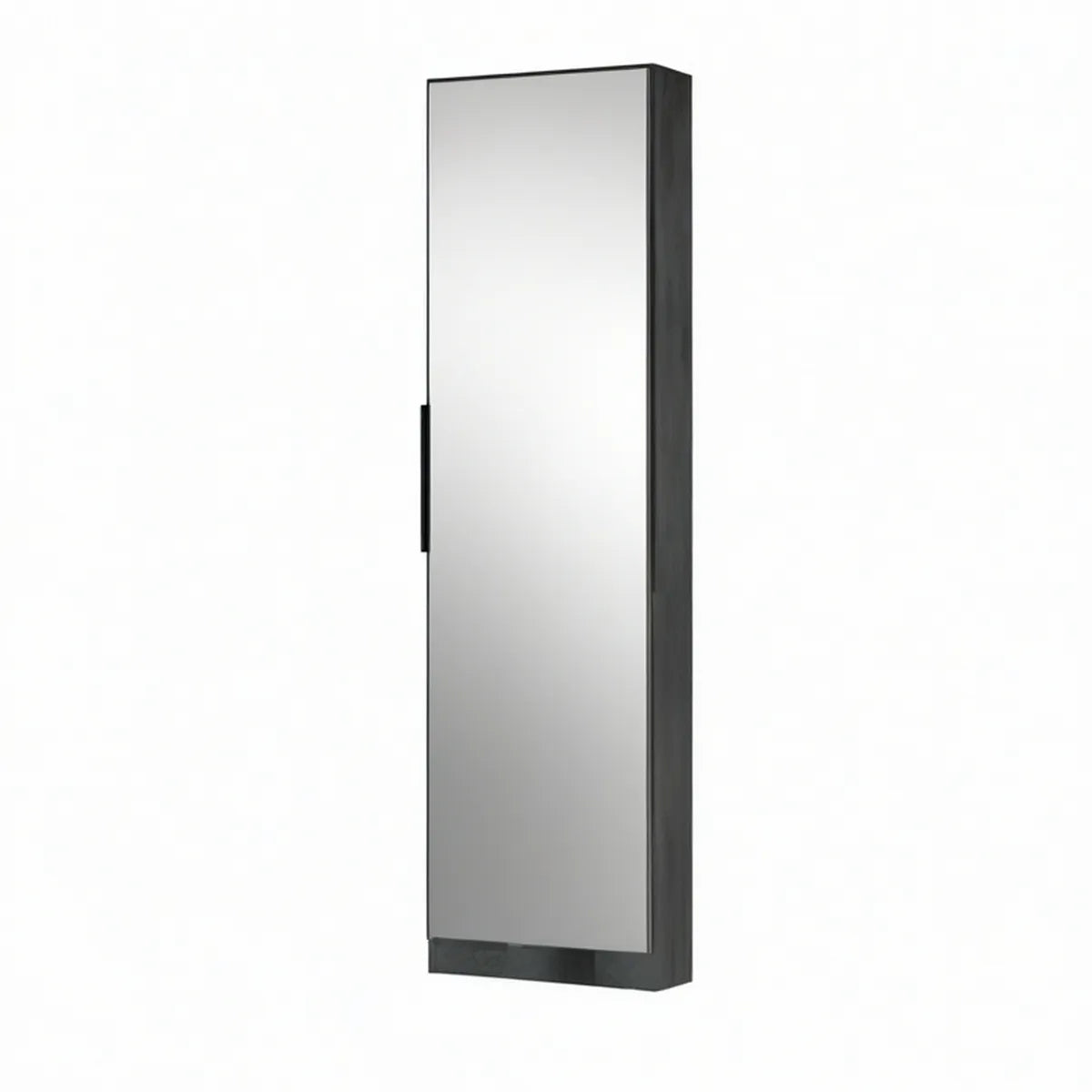 Wall-Mounted Mirrored Shoe Storage, 14.6 in W x 7.1 in D x 47.2 in H, Black/Silver
